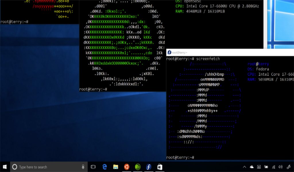 windows 10 linux subsystem