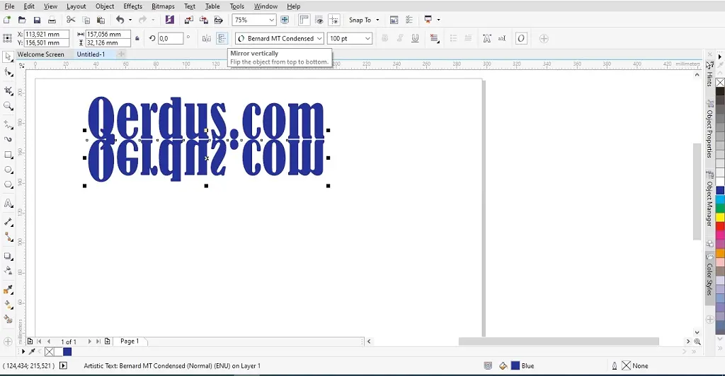 contoh menggunakan transparency tool coreldraw untuk memberi efek transparan