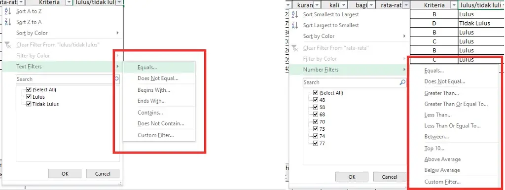 pilihan kondisi pada filter di excel